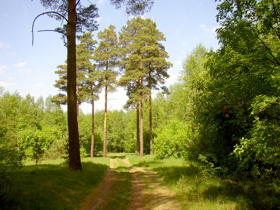 At summer noon