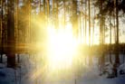 Sonnenlicht