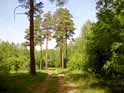 At summer noon