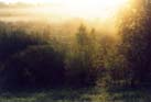 Mist