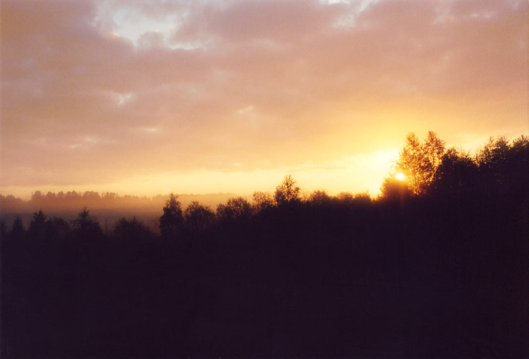 Mist