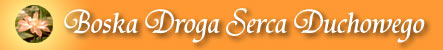 Boska Droga Serca Duchowego