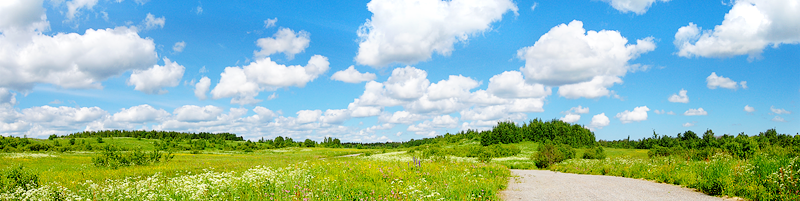 Refinement of Consciousness