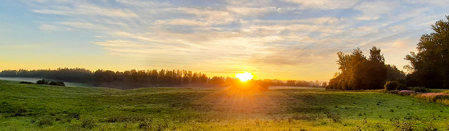 ������ ����